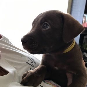 Meet your Posher, Danielle